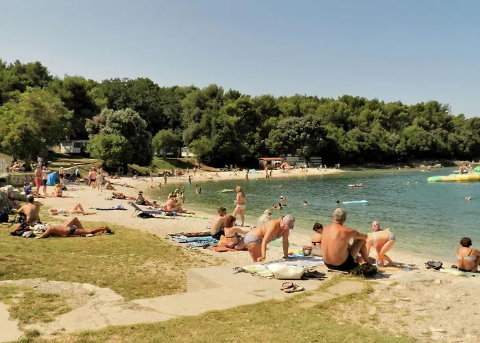 Honey Bee Πούλα